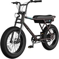 Entry-Level eBike Models