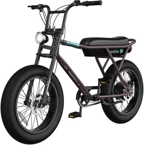 Entry-Level eBike Models