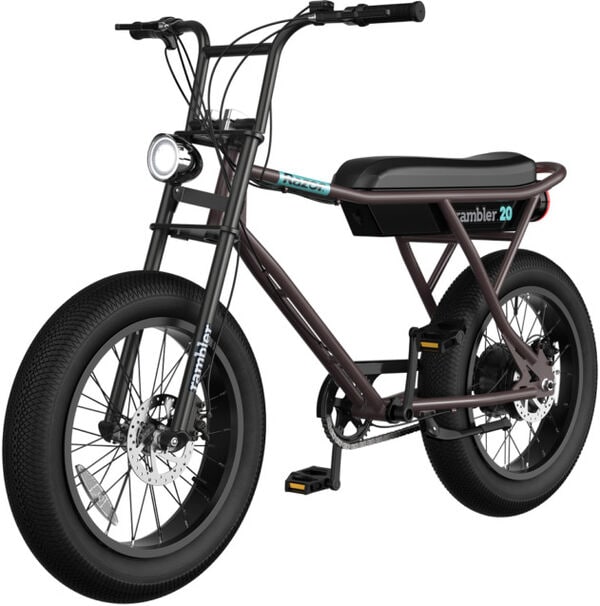 Entry-Level eBike Models