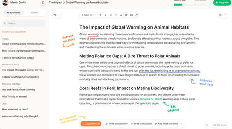 AI Essay Support
