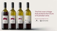 Partially Filled Wine Bottles Image 1