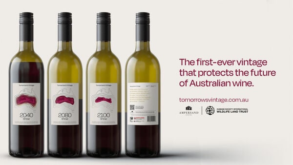 Partially Filled Wine Bottles