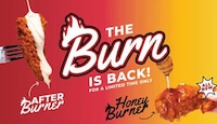 Spicy Honey Wing Flavors Image 1