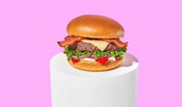 Slightly Spicy Cheese Burgers Image 1