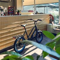 Mixed-Use Cargo Hauler eBikes Image 2