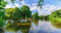 Urban Green Space Overhauls Image 1