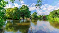 Urban Green Space Overhauls