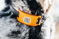 Smart Wearable Pet Trackers Image 1