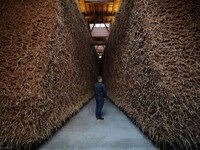 Artful Soil-Bending Exhibitions Image 1