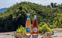 Vegan-Certified Vino Aperitivos Image 1