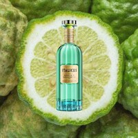 Versatile Italian Liqueurs Image 2