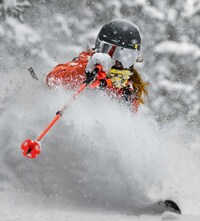 Customizable Winter Sport Poles Image 6