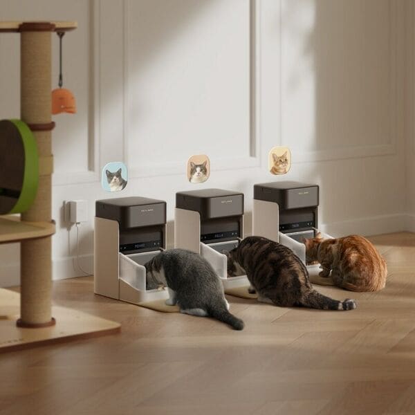 RFID-Enhanced Pet Feeders