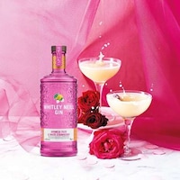 Citrusy Strawberry Gins Image 1