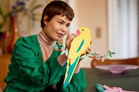 Vibrant Bird-Inspired Artful Puzzles Image 1