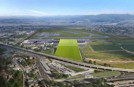 Vineyard-Detailed Airport Terminals