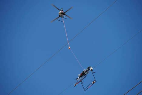 Bird-Diverting Robotic Systems