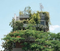 Environmentally Blending Residences Image 3