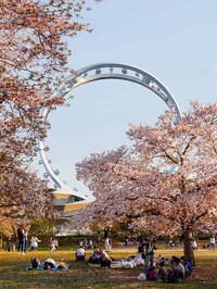 Intersecting Ring Ferris Wheels Image 3