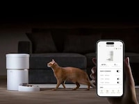 Vacuum-Sealed Automatic Pet Feeders Image 2