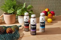 Ready-to-Drink Plant-Based Protein Shakes