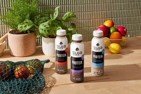 Ready-to-Drink Plant-Based Protein Shakes