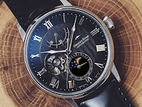 Sophisticated Mechanical Watches Image 3