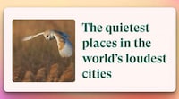 Interactive Quiet-Locating Maps