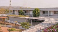 Expansive School Bamboo Canopies Image 1