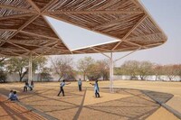 Expansive School Bamboo Canopies Image 2