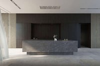 Invisible Induction Countertop Ranges Image 3
