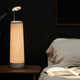 Pop-Up Reading Light Lamps Image 1