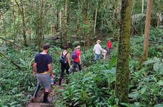 Authentic Amazonian Jungle Tours
