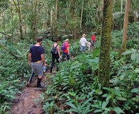 Authentic Amazonian Jungle Tours