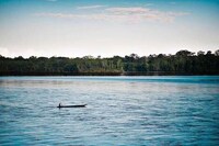 Authentic Amazonian Jungle Tours Image 2