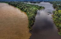 Authentic Amazonian Jungle Tours Image 7