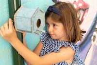 Educational Linoleum Birdhouses Image 2