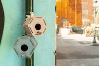 Educational Linoleum Birdhouses Image 3