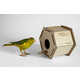 Educational Linoleum Birdhouses Image 4