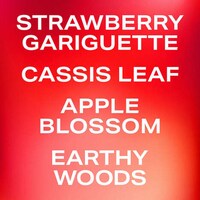 Decadent Strawberry Fragrances Image 2