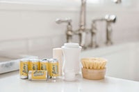 Sustainable Dish-Cleaning Duos Image 1