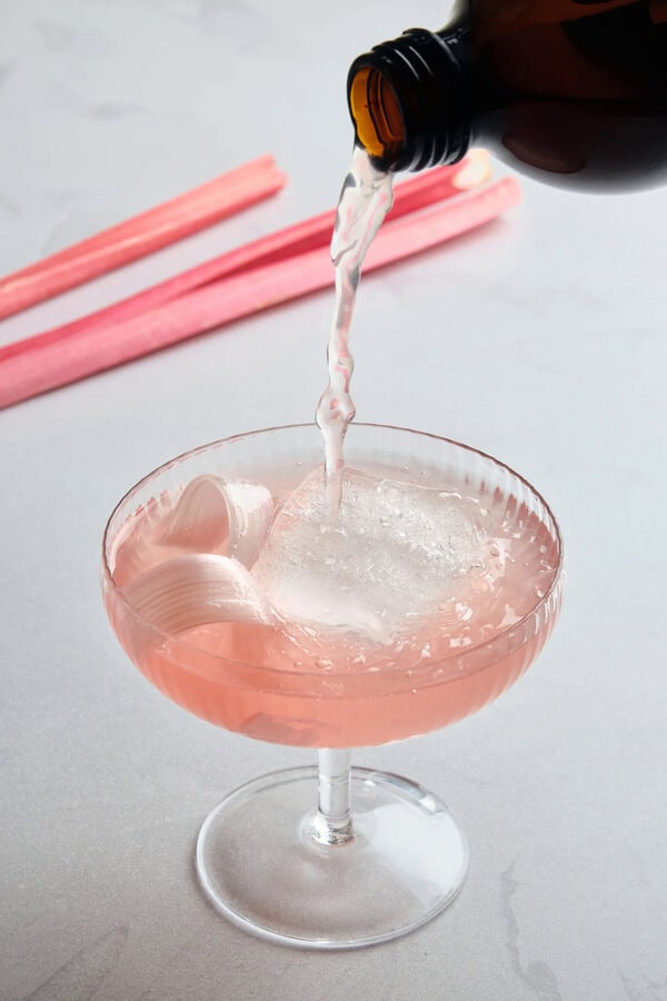 Tart Rhubarb Kombuchas