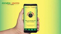 AI-Generated Avocado Recipes Image 1