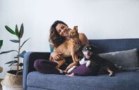 Informative Pet Food Chatbots Image 1