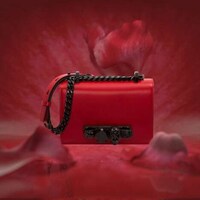 Lunar New Year-Inspired Accessories Image 4