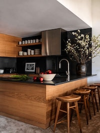 Contemporary Ski Home Projects Image 4