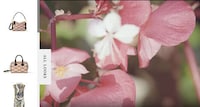 Shoppable Luxury Fashion Films