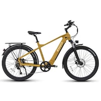 SUV-Style Electric Bikes Image 1