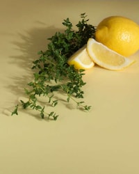 Modernized Home Scent Kits Image 2