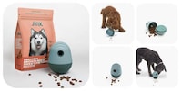 Limited-Edition Mealtime Enrichment Set